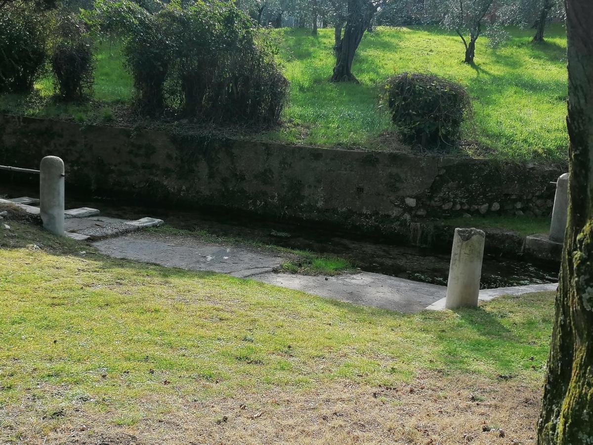 Bilocale Papavero, Magnolia O Girasole San Felice del Benaco Exteriör bild